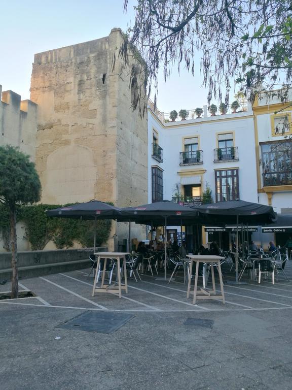 Duplex Ancha Con Wifi Y Parking Appartement Jerez de la Frontera Buitenkant foto