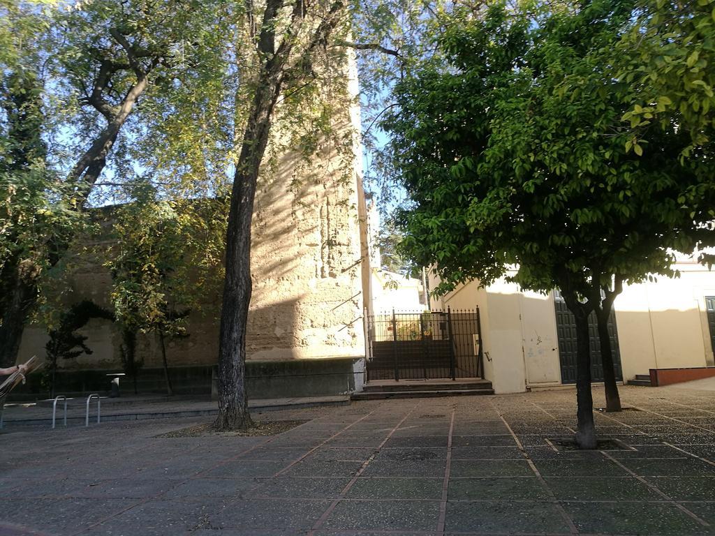 Duplex Ancha Con Wifi Y Parking Appartement Jerez de la Frontera Buitenkant foto